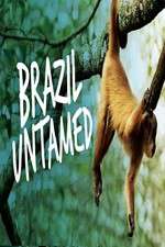 Watch Brazil Untamed Myflixer