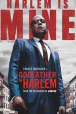 Watch Godfather of Harlem Myflixer