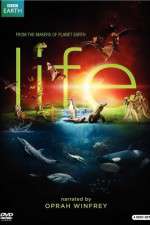 Watch Life Myflixer