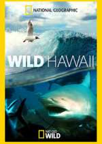 Watch Wild Hawaii Myflixer