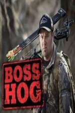 Watch Boss Hog Myflixer