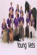 Watch Young Vets Myflixer