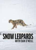 Watch Snow Leopards with Dan O\'Neill Myflixer