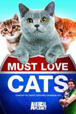 Watch Must Love Cats Myflixer