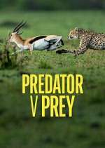 Watch Predator v Prey Myflixer