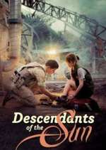 Watch Descendants of the Sun Myflixer