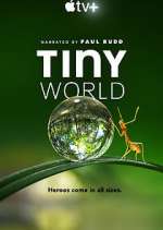 Watch Tiny World Myflixer