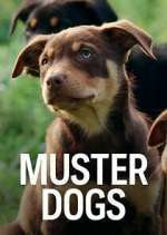 Watch Muster Dogs Myflixer