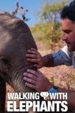 Watch Walking with Elephants Myflixer