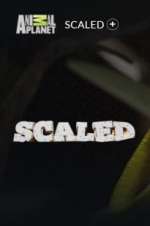 Watch Scaled Myflixer