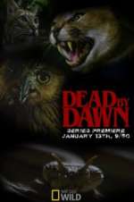 Watch Dead by Dawn Myflixer
