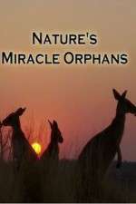 Watch Nature's Miracle Orphans Myflixer