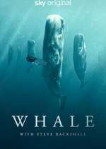 Watch Whale with Steve Backshall Myflixer