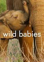 Watch Wild Babies Myflixer