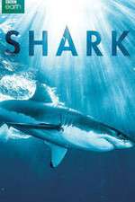 Watch Shark Myflixer