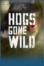 Watch Hogs Gone Wild Myflixer