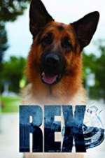 Watch Hudson & Rex Myflixer