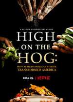 Watch High on the Hog: How African American Cuisine Transformed America Myflixer