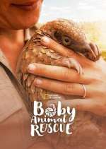 Watch Baby Animal Rescue Myflixer