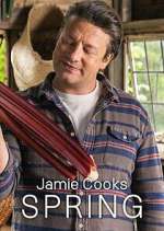 Watch Jamie Cooks Spring Myflixer