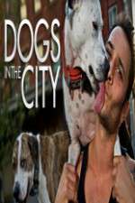 Watch Dogs in the City Myflixer