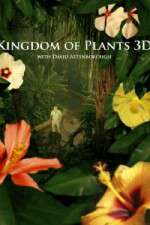 Watch Kingdom of Plants 3D Myflixer