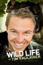 Watch The Wild Life of Tim Faulkner Myflixer