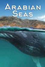 Watch Arabian Seas Myflixer