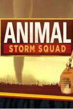 Watch Animal Storm Squad Myflixer