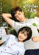 Watch A Love So Beautiful Myflixer