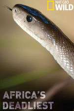 Watch Africas Deadliest Myflixer
