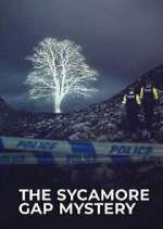 Watch The Sycamore Gap Tree Mystery Myflixer