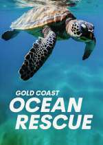 Watch Gold Coast Ocean Rescue Myflixer