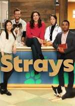 Watch Strays Myflixer