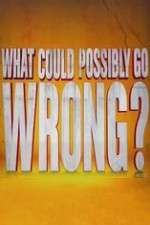 Watch What Could Possibly Go Wrong Myflixer