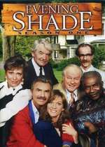 Watch Evening Shade Myflixer