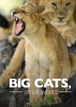 Watch Big Cats, Small World Myflixer